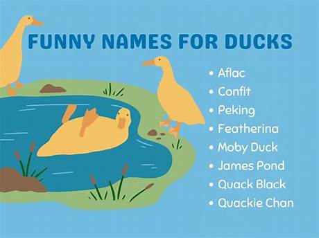 Discover Hilarious Duck Names for Your Feathered Friend