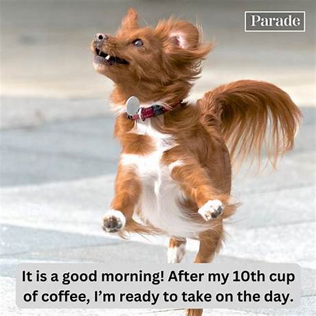Unleash the Power of Good Morning Memes for Him: Secrets Revealed