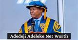 Unveiling Adedeji Adeleke's Net Worth in 2024: a Comprehensive Analysis